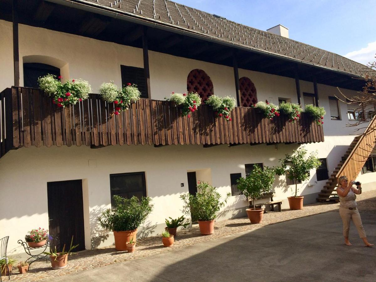 VIII Panorama-Ferienwohnung Petzenblick Smihel nad Pliberkom المظهر الخارجي الصورة